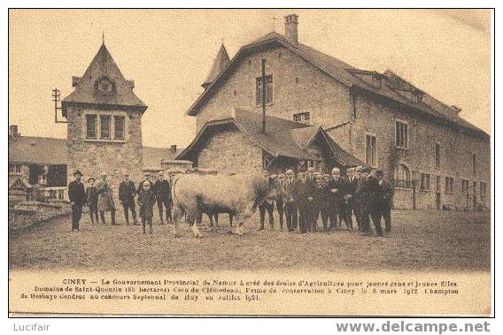 Ciney  Le Gouvernement Provincial De Namur A Créé Des Ecole D'Agriculture - Ciney