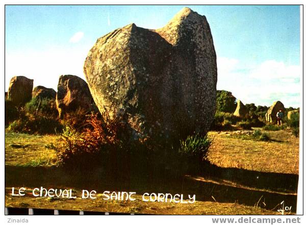 CARTE POSTALE DE CARNAC - ALIGNEMENTS DU MENEC - LE CHEVAL DE SAINT CORNELY - Dolmen & Menhirs