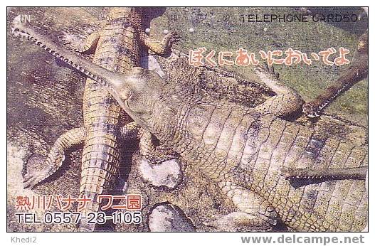 Télécarte Japon / 110-011 - ANIMAL CROCODILE - Japan Phonecard - KROKODIL Telefonkarte - 04 4 - Crocodiles And Alligators