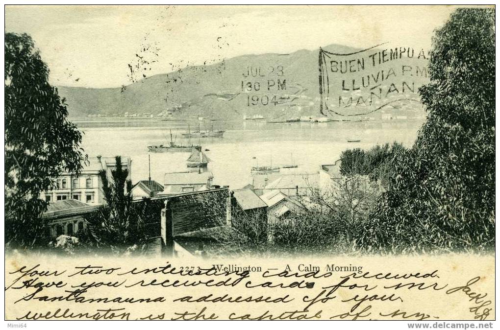 NOUVELLE-ZELANDE. PORT WELLINGTON . A CALM MORNING. BATEAUX .ANNÉE 1904 - Nouvelle-Zélande