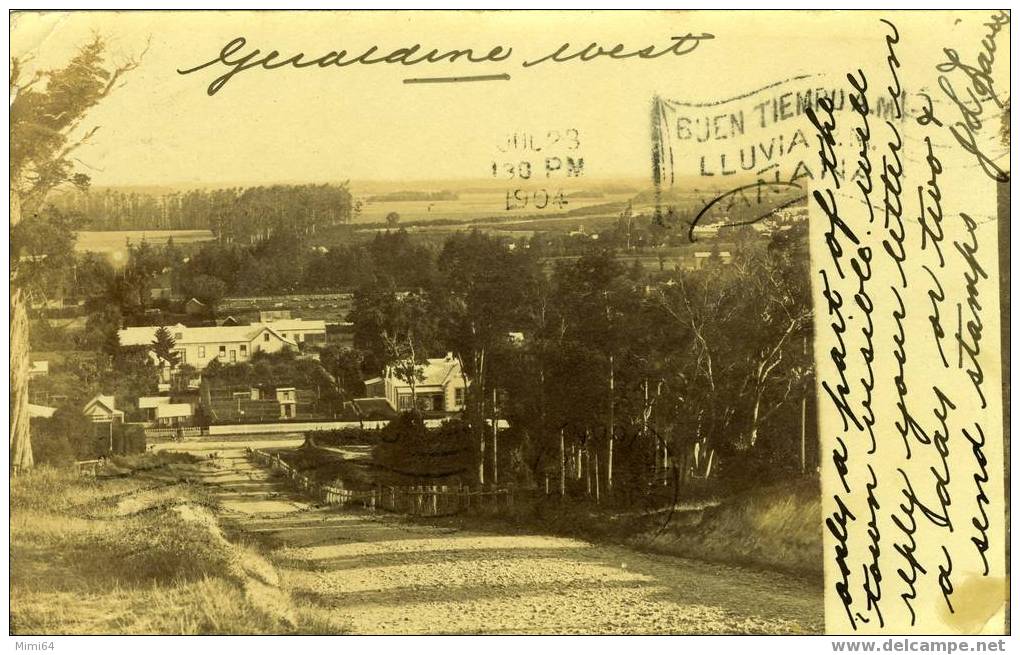 NOUVELLE - ZELANDE .  CARTE POSTAL PHOTO . - Nouvelle-Zélande