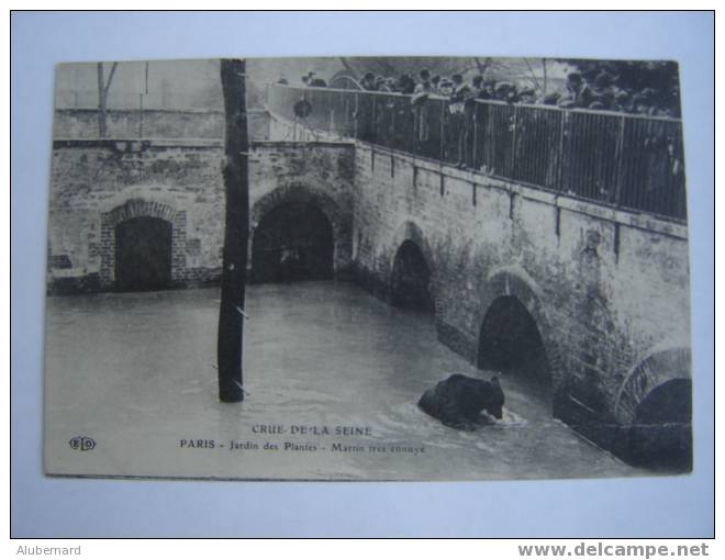 Crue De La Seine. Jardin Des Plantes :Martin Tres Ennuyé - Inondations