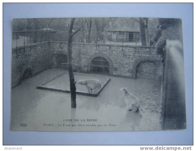 Crue De La Seine. Jardin Des Plantes :La Fosse Aux Ours Envahie Par Les Eaux - Floods