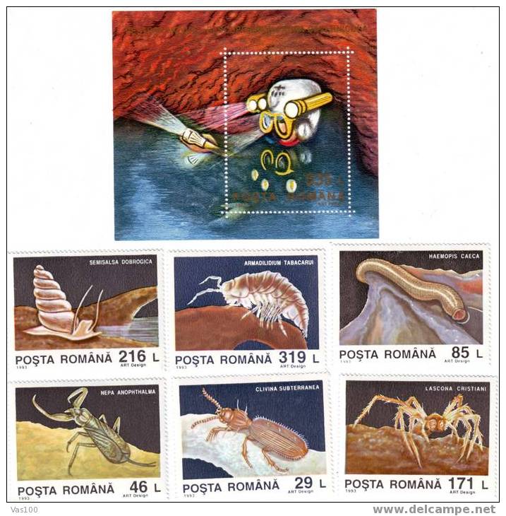 1993,INSECT OF GROTTE,CAVE,SPELEOLOGY,SET + BLOCK MNH,OG. - Used Stamps
