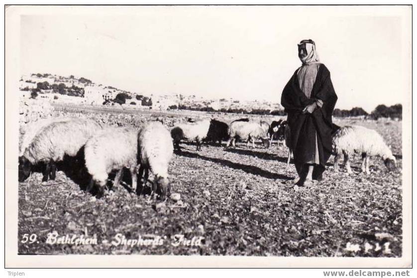 Bethlehem - Shepherds' Field - Palästina