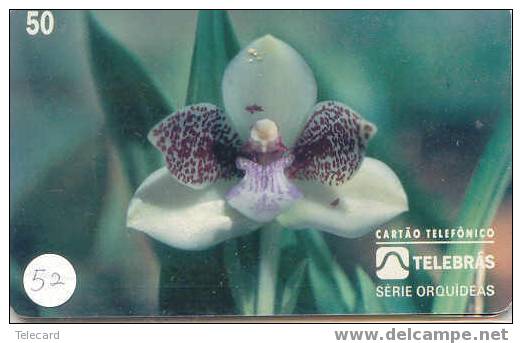 Télécarte ORCHID (52) Orchidée Orquídea Orchidee Brasil - Bloemen