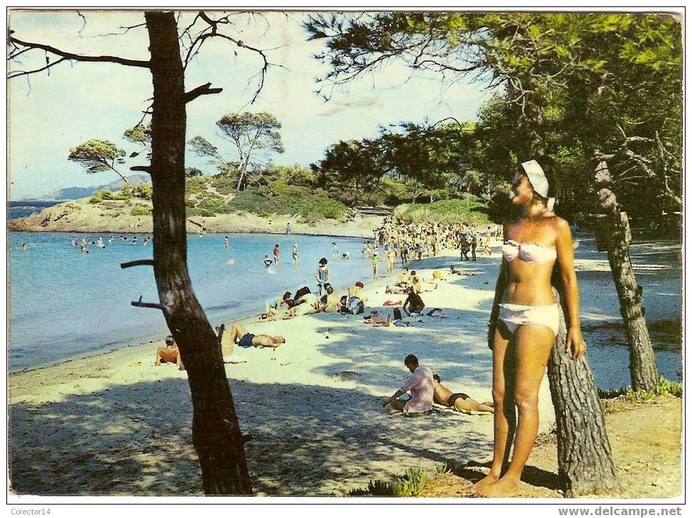 PORQUEROLLES LA PLAGE D´ARGENT 1970 - Porquerolles