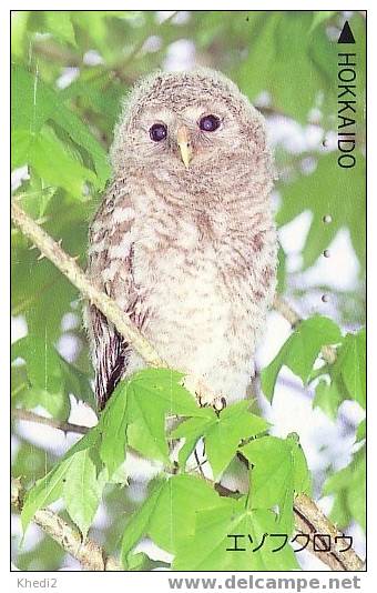 Télécarte Japon - OISEAU HIBOU CHOUETTE  - OWL Bird Japan Phonecard - EULE Vogel Japan Telefonkarte - 02 - Uilen