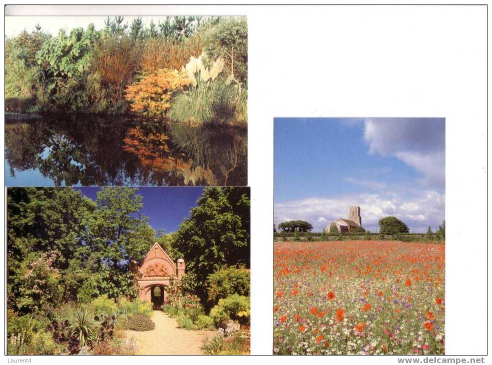 6 Carte De Norwich  / 6 Norwich Postcards - Norwich
