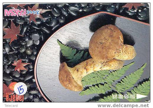 MUSHROOM CHAMPIGNON PILZ  SETA Fungo Paddestoel (15) - Alimentation