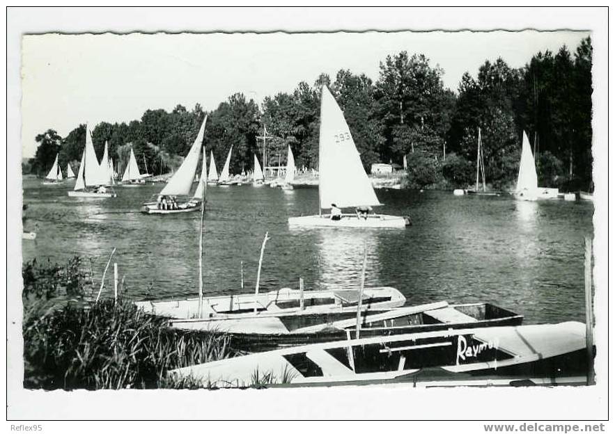 VAIRES - Voiliers Un Jour De Course - Vaires Sur Marne