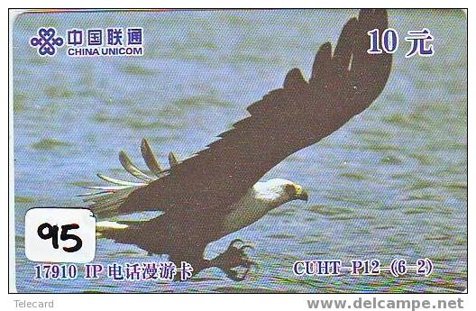 EAGLE - AIGLE - Adler - Arend - Águila - Bird - Oiseau (95 - Águilas & Aves De Presa