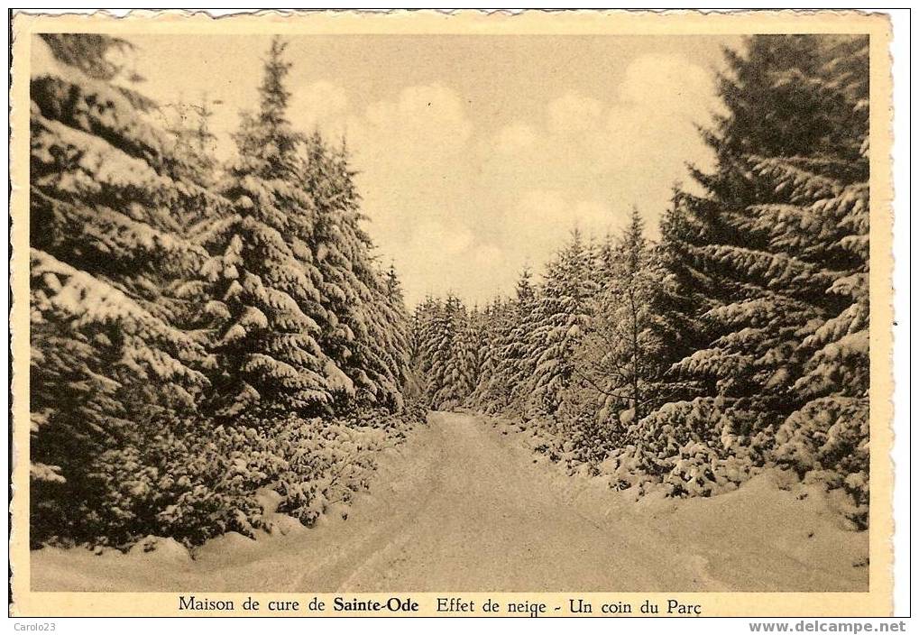 SAINT  -  ODE  :  MAISON  DE  LA  CURE  -  EFFET  DE  NEIGE  - UN  COIN  DU  PARC - Sainte-Ode