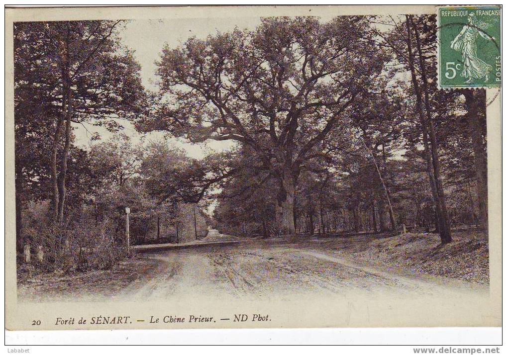 FORET DE SENART   LE CHENE PRIEUR   N D N°20 - Sénart