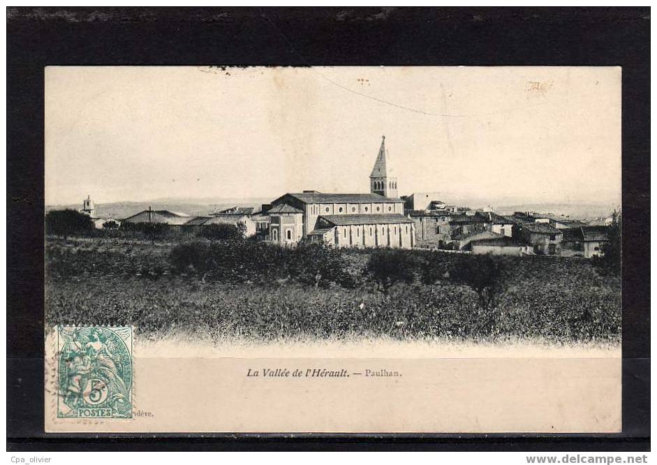 34 PAULHAN (envs Clermont Hérault) Vue Générale, Ed Froment, Vallée De L´Hérault, 1904 - Autres & Non Classés