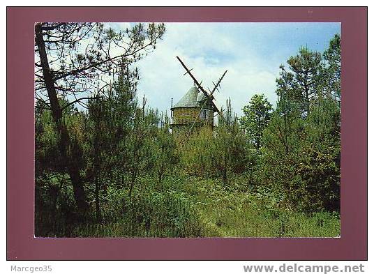 18658 Guer Moulin Des Rochelets N°14 édit.artaud Belle Cpsm - Guer Coetquidan