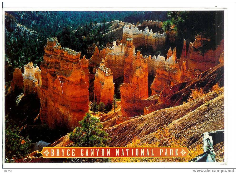 BRYCE CANYON NATIONAL PARK - Bryce Canyon