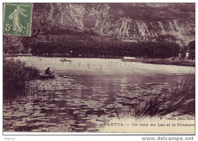 NANTUA Un Coin Du Lac Et La Promenade - Nantua