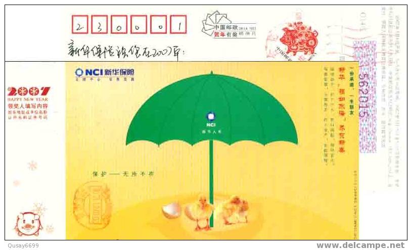 China,postal Stationery , Umbrella ,duck,Egg Shell - Entenvögel