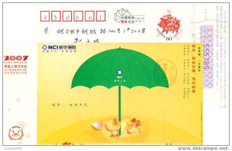 China,postal Stationery , Umbrella ,duck,Egg Shell - Canards