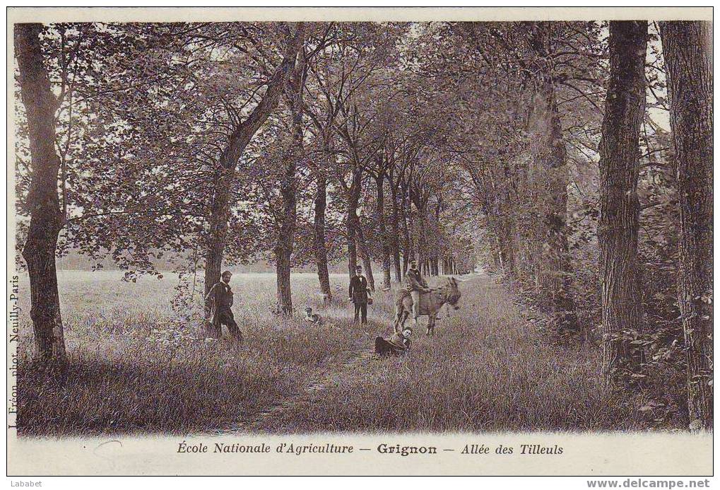 GRIGNON ECOLE AGRICULTURE ALLEE DES TILLEUILS - Grignon