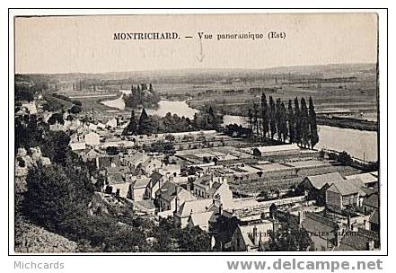 CPA 41 MONTRICHARD - Vue Panoramique - Montrichard