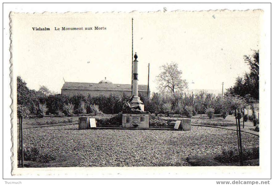 9846 - VIELSALM - Le Monument Aux Morts - Vielsalm