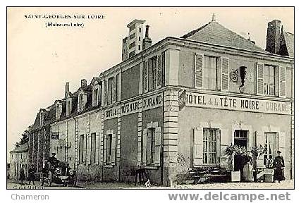 St. Georges-sur-Loire. Hôtel De La Tête Noire - Saint Georges Sur Loire