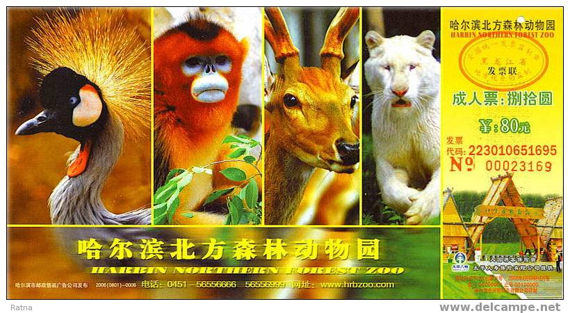 Chine : EP Tichet Entrée Zoo Forestier De Harbin Tigre Blanc Singe Monkey Crane Deer Cerf Foret Arbre Forest Tree Wild - Singes