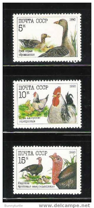 Russia 1990 Poultry Geese Hen Turkeys MNH - Ferme