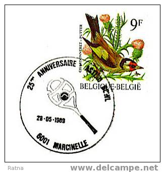 Belgique : Obl. Temp. /lettre Tennis Raquette Balle Sport - Tennis