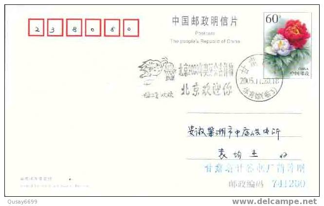 Beijing 2008 Olympic Games´ Postmark,mascots Of The Games Of The XXIX Olympiad,basketball - Estate 2008: Pechino