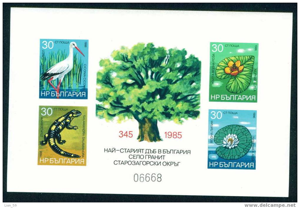 3528A Bulgaria 1986 Environment Protection BLOCK Imperf ** MNH / Pointing Stork  /Natur- Und Umweltschutz - Cigognes & échassiers