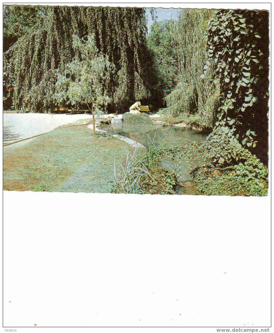 Carte Postale  91.  Viry-Chatillon  Le Parc Public - Viry-Châtillon