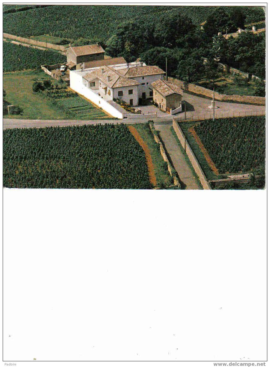 Carte Postale  71.  Chaintré   Pouilly Domaine De La Bergerie Prop. Jean-Mathias - Andere & Zonder Classificatie