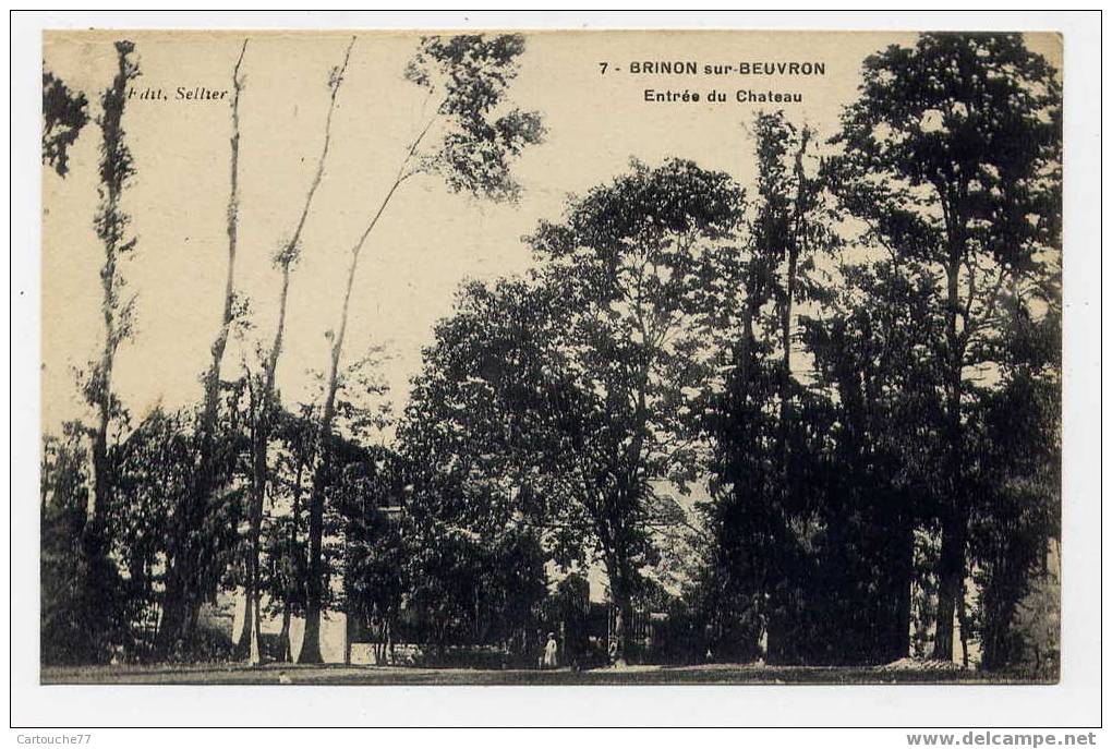 K7 - BRINON-sur-BEUVRON - Entrée Du Château - Brinon Sur Beuvron