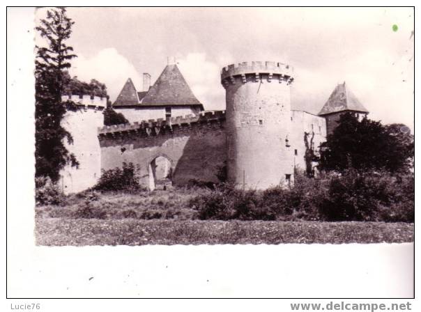 Château De LA ROCHE LES AIGUEPERSE -  Manoir Féodal - Fief Du Chancelier Michel De L´HOSPITAL - Entrée Sud - Aigueperse