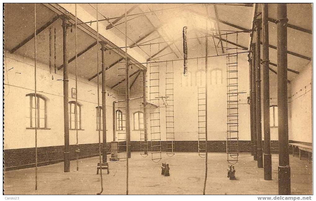 NAMUR  :  ECOLE  DES  CADETS  -  GYMNASE - Namur