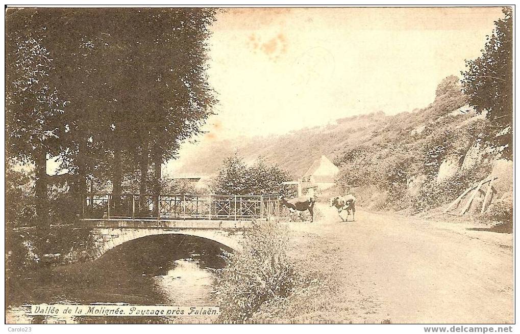 VALLEE  DE  LA  MOLIGNEE :  PAYSAGE  PRES  DE  FALAEN - Mettet