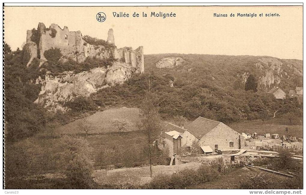 VALLEE  DE  LA  MOLIGNEE :  RUINES  DE  MONTALGIE  ET  SCIERIE (tres Rare ) - Mettet
