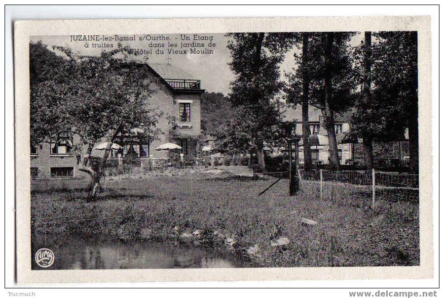 9907 - Juzaine-lez-Bomal - Un Etang à Truites Dans Le Jardin De L' Hôtel Du Vieux Moulin - Durbuy