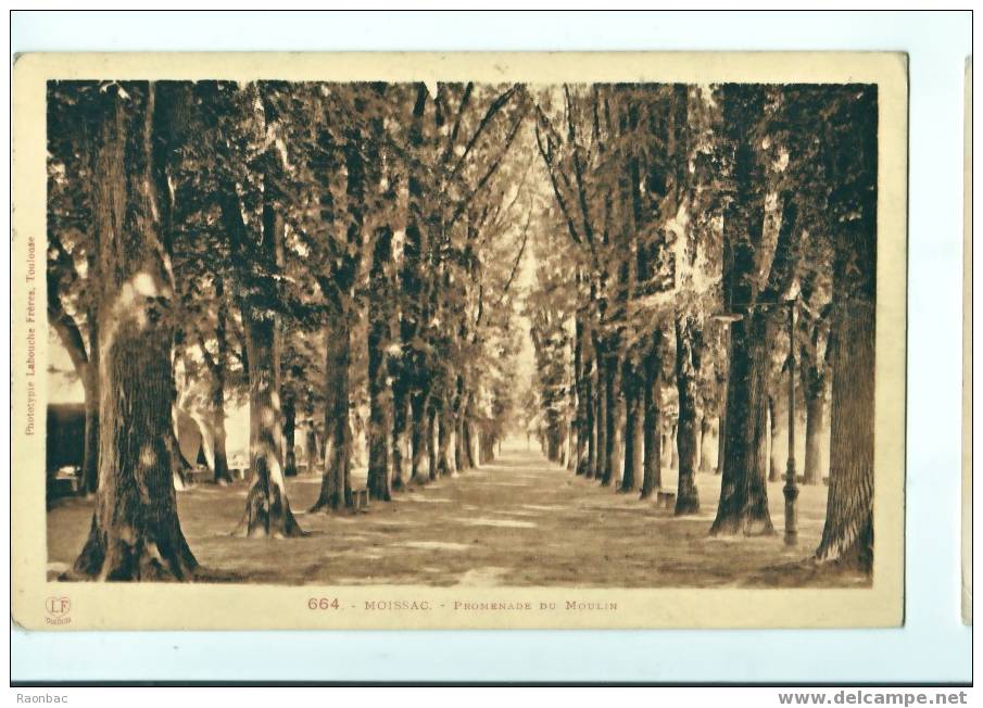 CPA----82-----MOISSAC----PROMENADE Du MOULIN - Moissac