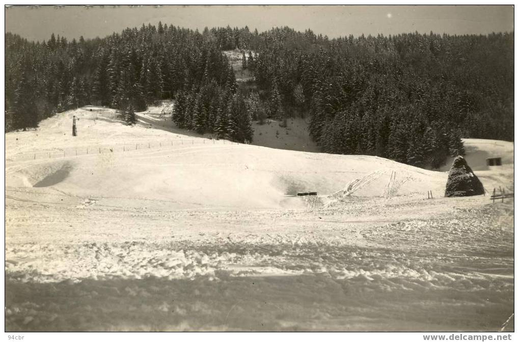 Cpsm Pf (01)    LELEX    Les Pistes De Skis - Belley