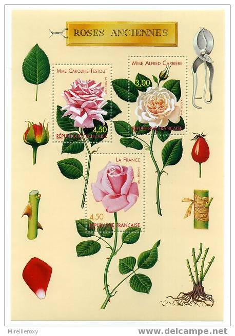 BLOC FEUILLET ROSES ANCIENNES GREFFE SECATEUR - Roses