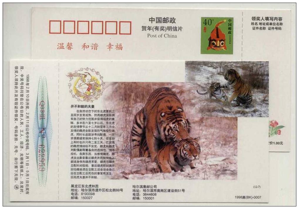 #7,Endangered Species Siberian Tiger,China 1998 Northeast Tiger Forest Park Advertising Postal Stationery Card - Roofkatten