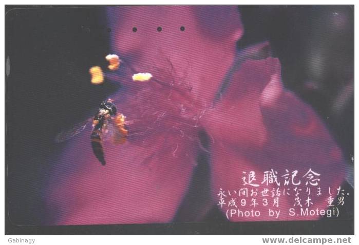 INSECT - BEE - JAPAN - H003 - FLOWER - 110-016 - Honeybees