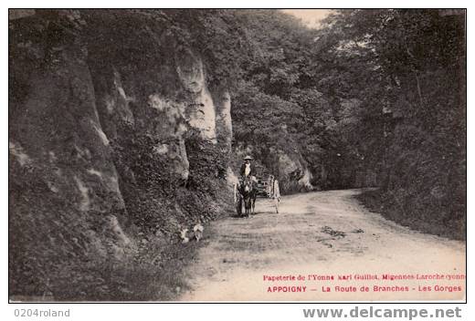 Appoigny - La Route De Branche - Les Gorges - Appoigny