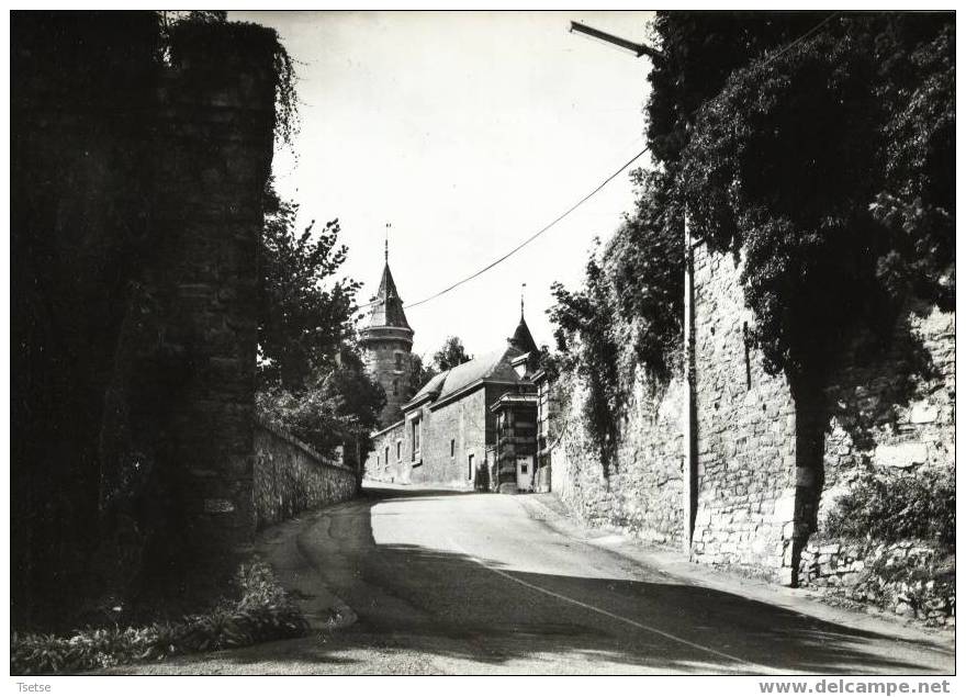 Dolhain - Vue De La Porte D'En-bas -1988 - Limburg