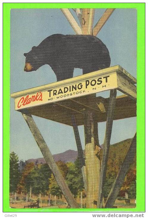 WOODSTOCK, NH - CLARK'S TRADING POST - BEAR - - Other & Unclassified