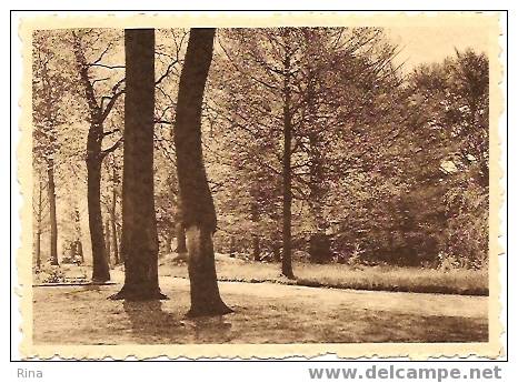 Lovenjoul  Dans Le Parc Ern.Thill,Bruxelles-Nels - Bierbeek